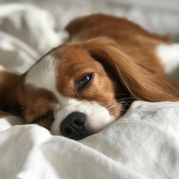 Meet your Posher, Sarah - Picture 2 of 2